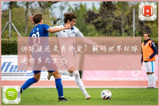 伪球迷还是真热爱？解码世界杯球迷的多元生态