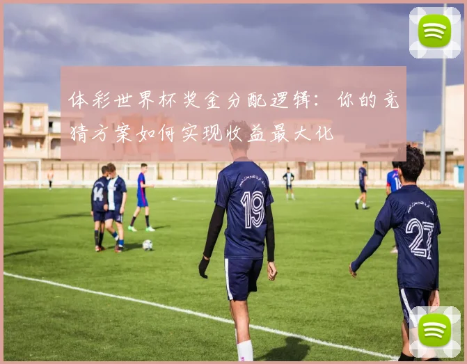 体彩世界杯奖金分配逻辑：你的竞猜方案如何实现收益最大化