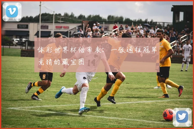 体彩世界杯倍率表：一张通往冠军竞猜的藏宝图