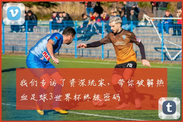 我们专访了资深玩家，带你破解热血足球3世界杯终极密码