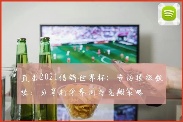直击2021信鸽世界杯:专访顶级教练,分享科学养训与竞翔策略