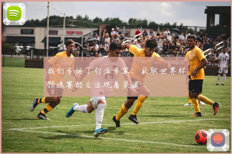 我们专访了行业专家：获取世界杯预选赛的合法观看渠道