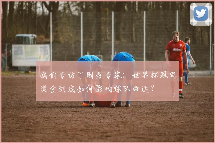 我们专访了财务专家：世界杯冠军奖金到底如何影响球队命运？