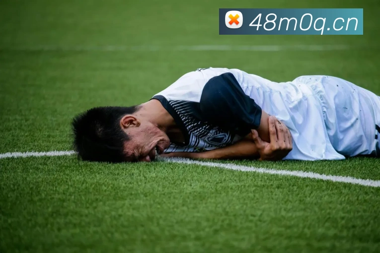 乐鱼在线登录首页APP 高清赛事图